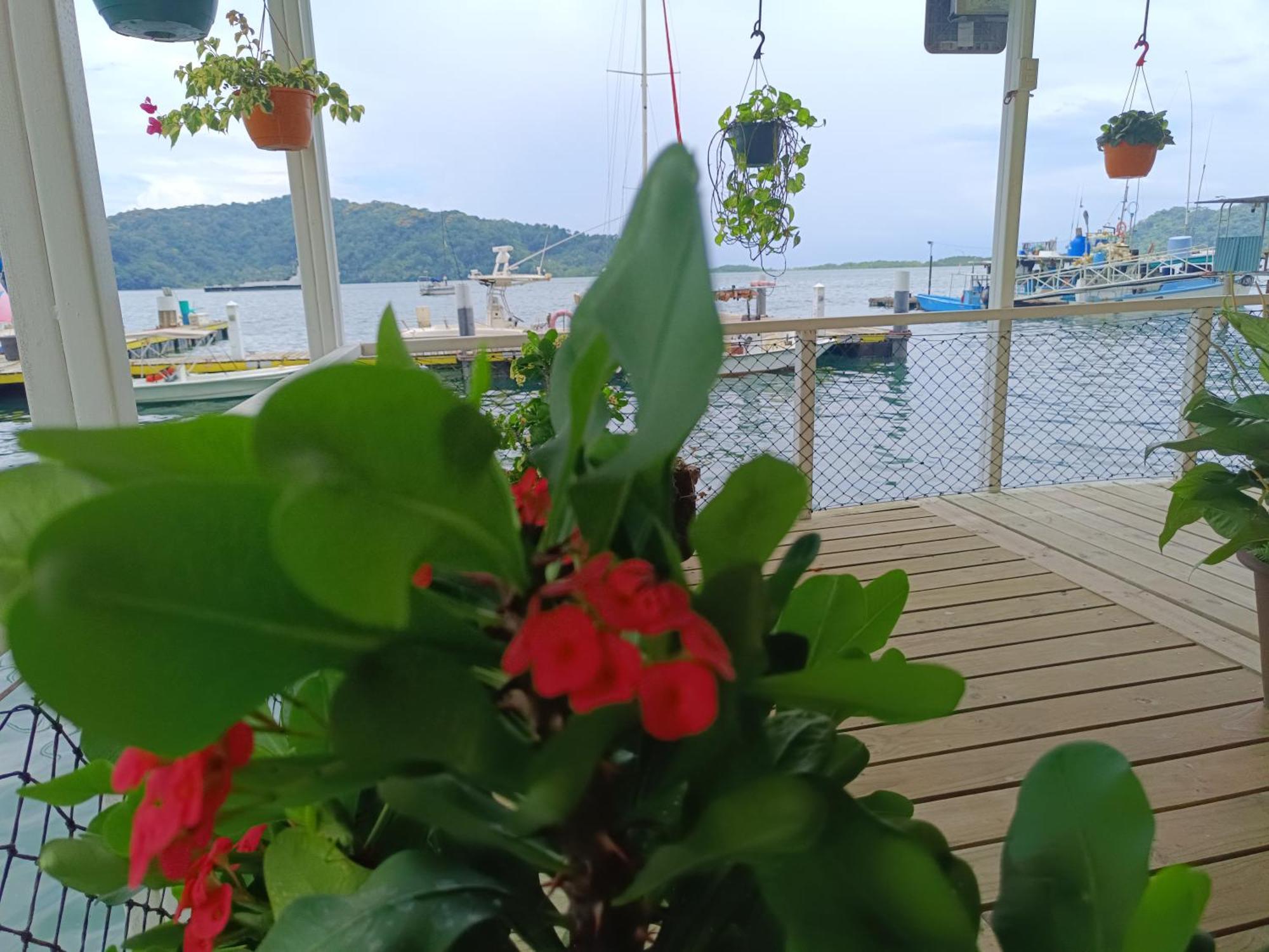 Banana Bay Marina Ξενοδοχείο Golfito Εξωτερικό φωτογραφία